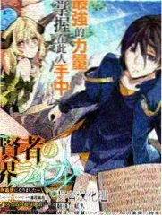 风车漫画作品山雀与旧唱片封面